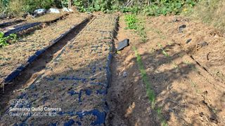 MSG0074님의 자유주제 · 자유게시판 작성글 사진