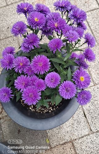 MSG0074님의 자유주제 · 자유게시판 작성글 사진