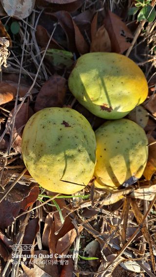 MSG0074님의 자유주제 · 자유게시판 작성글 사진