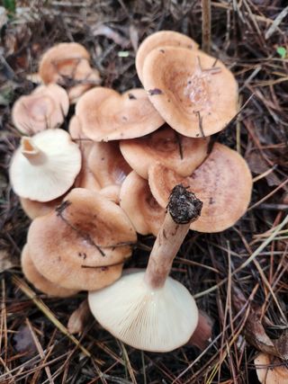 복자님의 자유주제 · 자유게시판 작성글 사진