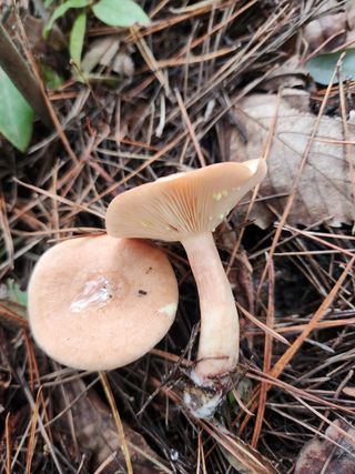 복자님의 자유주제 · 자유게시판 작성글 사진