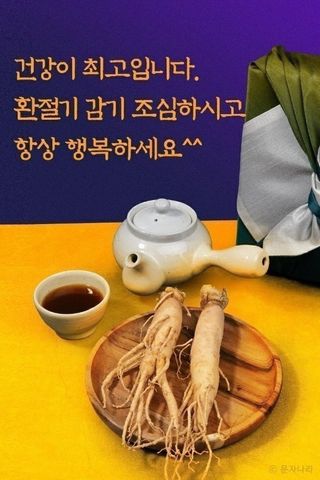 전진규.해돋이님의 배추 · 영농일지 작성글 사진