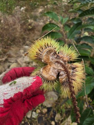 농막쥔님의 자유주제 · 자유게시판 작성글 사진