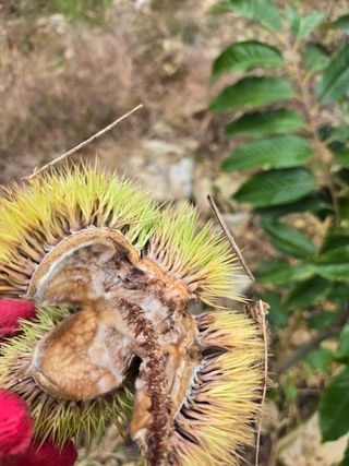 농막쥔님의 자유주제 · 자유게시판 작성글 사진