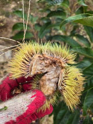 농막쥔님의 자유주제 · 자유게시판 작성글 사진