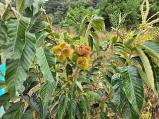 농막쥔님의 자유주제 · 자유게시판 작성글 사진