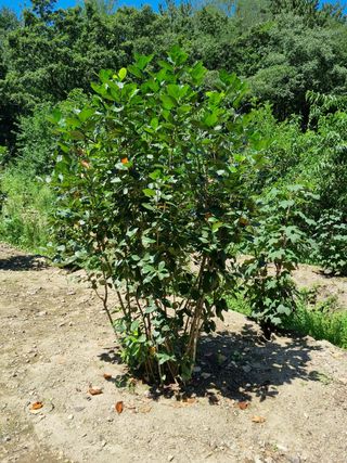 김종태 님의 팜모닝 · 출석 작성글 사진