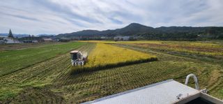 만파식적님의 벼 · 영농일지 작성글 사진