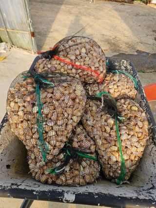 백호순(후추)님의 자유주제 · 자유게시판 작성글 사진