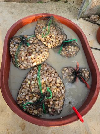 백호순(후추)님의 자유주제 · 자유게시판 작성글 사진