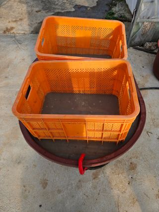 백호순(후추)님의 자유주제 · 자유게시판 작성글 사진