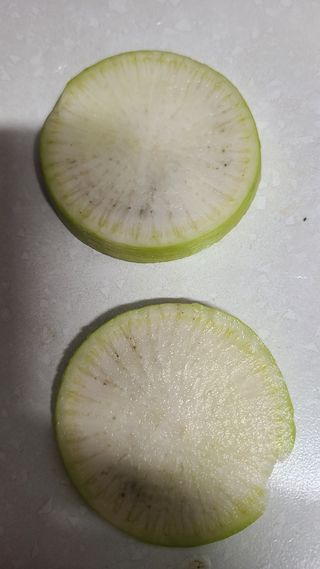 김해주님의 배추 · 병해충상담 작성글 사진