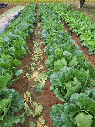 정택님의 자유주제 · 자유게시판 작성글 사진