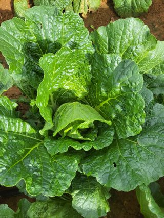 정택님의 자유주제 · 자유게시판 작성글 사진