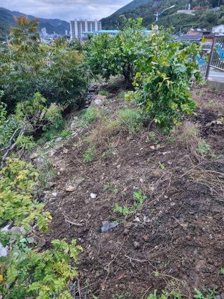 김용대님의 자유주제 · 자유게시판 작성글 사진