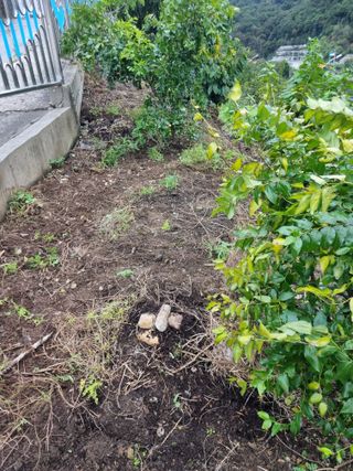 김용대님의 자유주제 · 자유게시판 작성글 사진