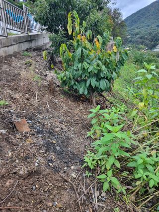 김용대님의 자유주제 · 자유게시판 작성글 사진