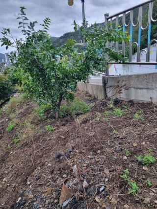 김용대님의 자유주제 · 자유게시판 작성글 사진