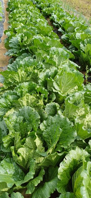 이강재님의 자유주제 · 자유게시판 작성글 사진