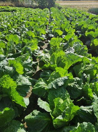 이대석님의 자유주제 · 자유게시판 작성글 사진