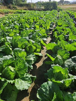 이대석님의 자유주제 · 자유게시판 작성글 사진