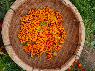 조정숙(1955)님의 자유주제 · 자유게시판 작성글 사진