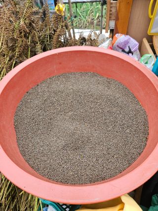 조정숙(1955)님의 자유주제 · 자유게시판 작성글 사진