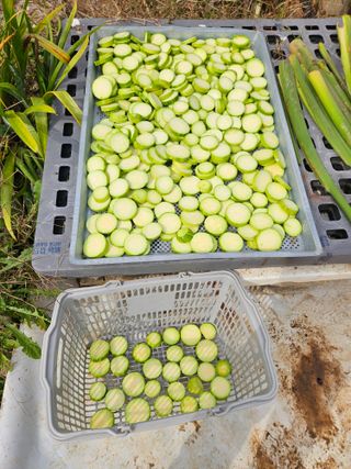 조정숙(1955)님의 자유주제 · 자유게시판 작성글 사진