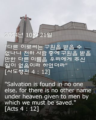 배추10628님의 작성글 사진