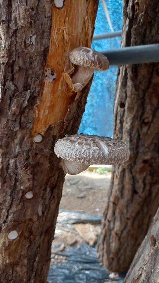 파란농원님의 작성글 사진