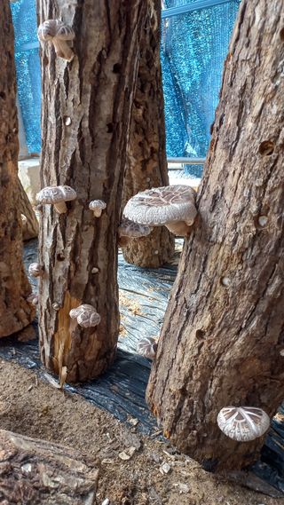 파란농원님의 작성글 사진