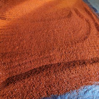 여우내 이순홍님의 고추 · 영농일지 작성글 사진