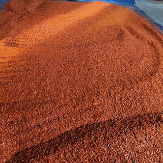 여우내 이순홍님의 고추 · 영농일지 작성글 사진