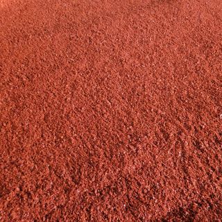 여우내 이순홍님의 고추 · 영농일지 작성글 사진