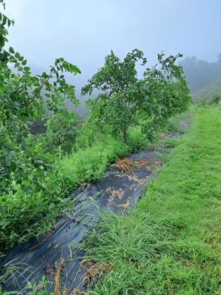알 수 없음님의 기타작물 · 영농일지 작성글 사진