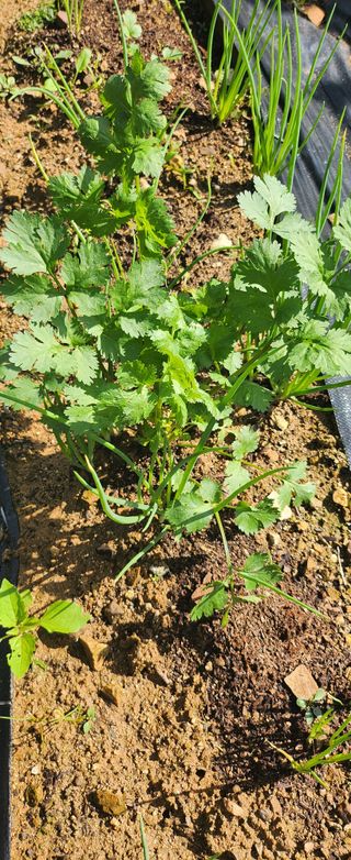 동동이님의 자유주제 · 자유게시판 작성글 사진