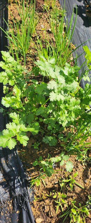 동동이님의 자유주제 · 자유게시판 작성글 사진