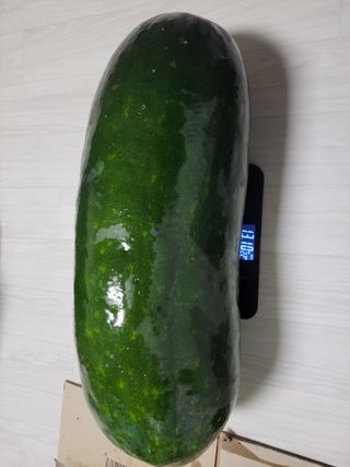 원빈님의 자유주제 · 자유게시판 작성글 사진