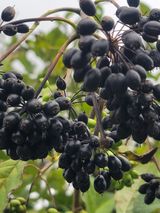 팜모닝 자유주제·자유게시판 게시글 이미지