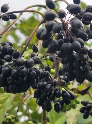 둥근마지기님의 자유주제 · 자유게시판 작성글 사진