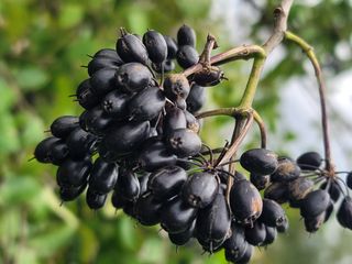 둥근마지기님의 자유주제 · 자유게시판 작성글 사진