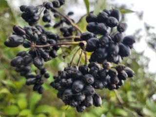 둥근마지기님의 자유주제 · 자유게시판 작성글 사진