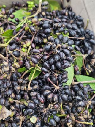 둥근마지기님의 자유주제 · 자유게시판 작성글 사진