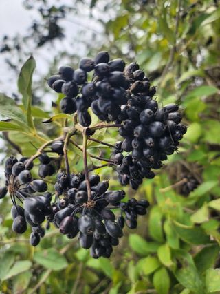 둥근마지기님의 자유주제 · 자유게시판 작성글 사진