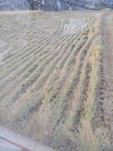 팜모닝 기타작물·영농일지 게시글 이미지