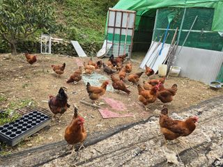 바람이런가님의 작성글 사진