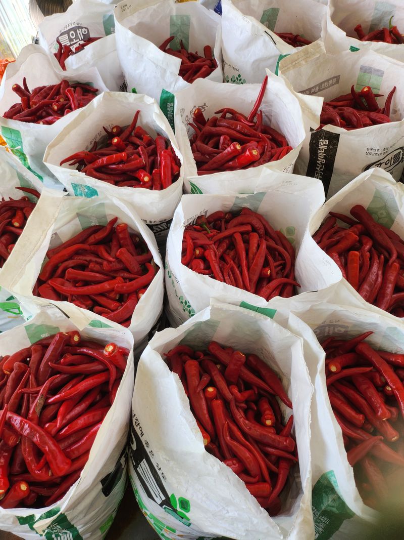 김창순님의 장터 판매 상품 [고춧가루 500g] 첨부 사진