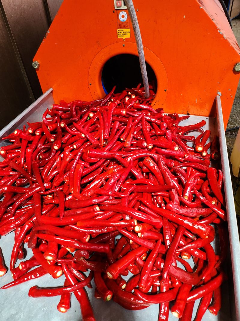 김창순님의 장터 판매 상품 [고춧가루 500g] 첨부 사진