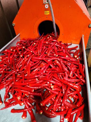 김창순님의 작성글 사진