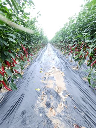 김창순님의 작성글 사진